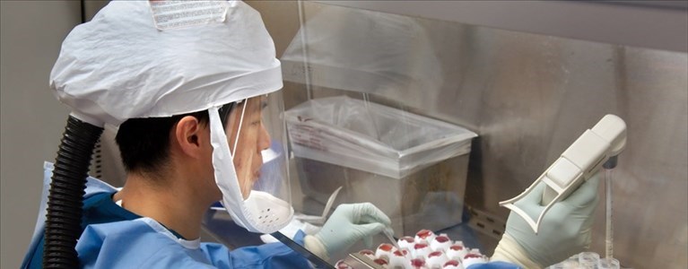 Coronavirus. si studia in laboratorio