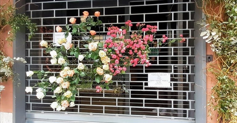 i fiori della vetrina di oggi di Jardin Diverse