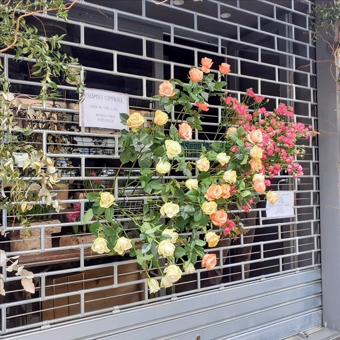Porta a casa un fiore a casa per compagnia"", l'iniziativa anti-quarantena