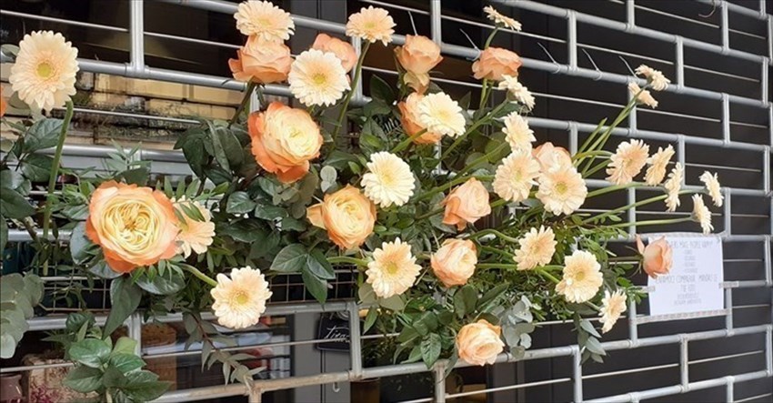 Porta a casa un fiore a casa per compagnia"", l'iniziativa anti-quarantena