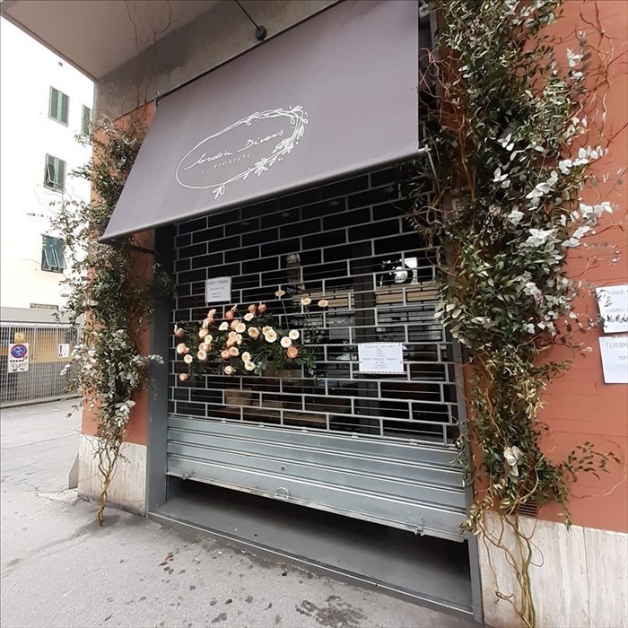 Porta a casa un fiore a casa per compagnia"", l'iniziativa anti-quarantena