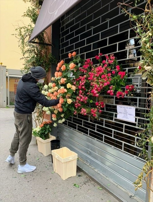 Alessandro mette altri fiori in vetrina