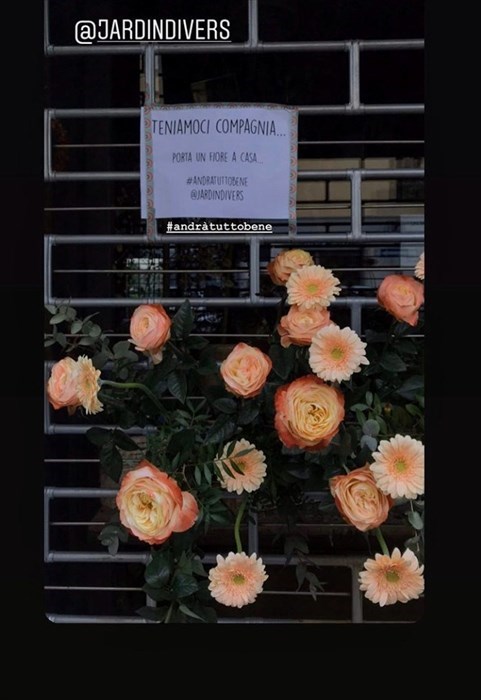 la vetrina fotografata da un cliente