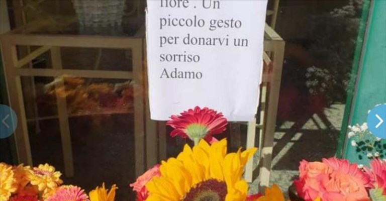 ecco i fiori regalati ai signesi
