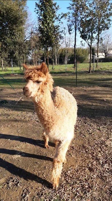 tutti a ripararsi dal sole