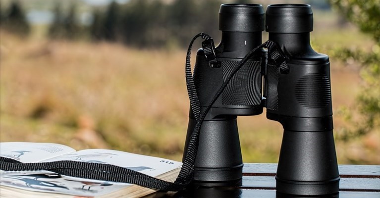 cosa rischiano gli spioni del web