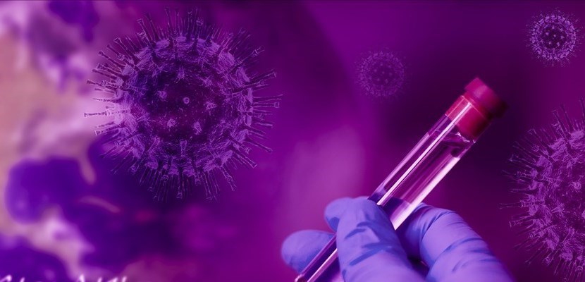 Pericolo a Montedomini