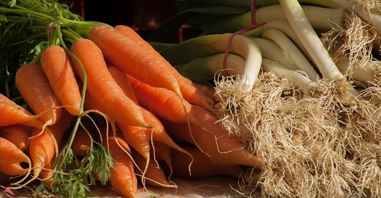 orti sociali ancora chiusi