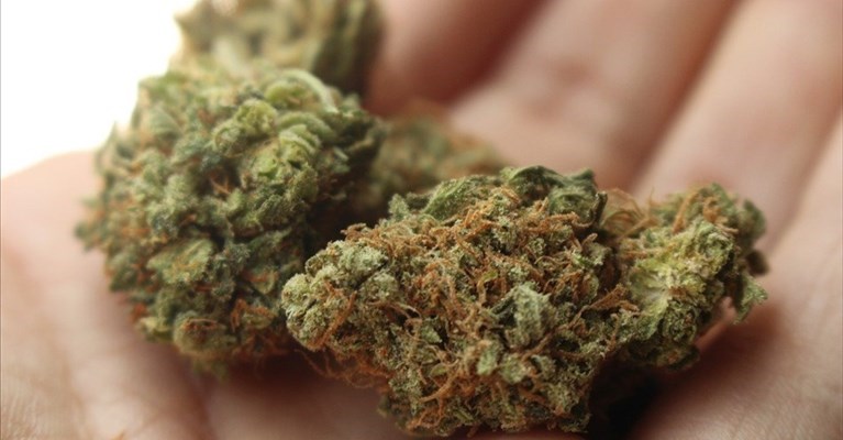 spaccio di marijuana