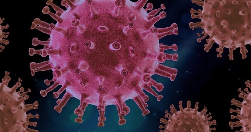 Coronavirus