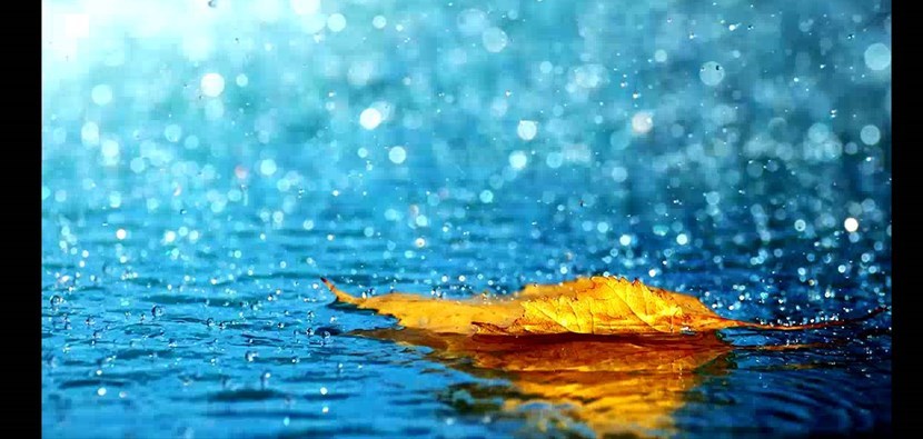 Meteo. Domani allerta gialla per vento e pioggia