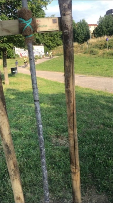 la targa con la dedica sull'albero