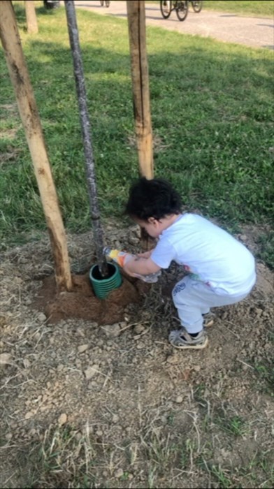 Il piccolo annaffiatore all'opera