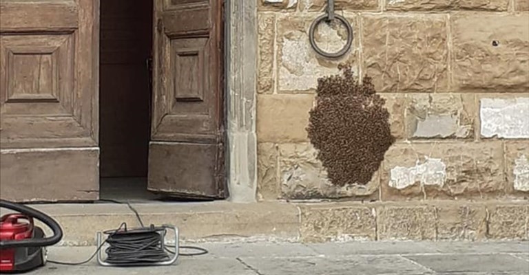 Lo sciame a Palazzo Vecchio