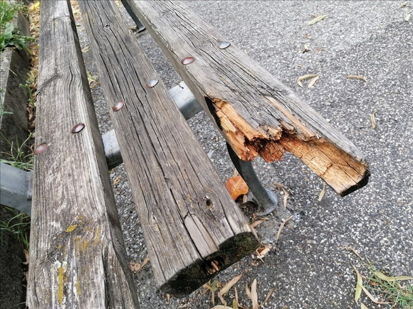 il giardino dimenticato