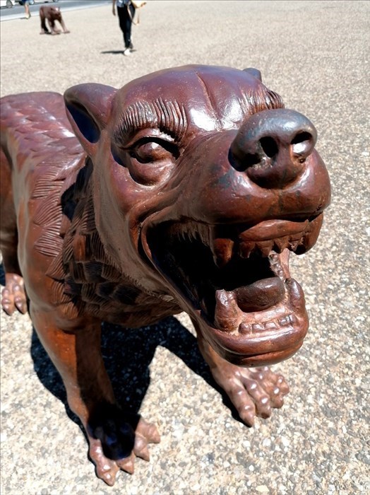 Un primo piano di un lupo