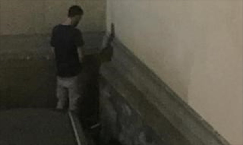 Le immagini dei residenti postate sui social