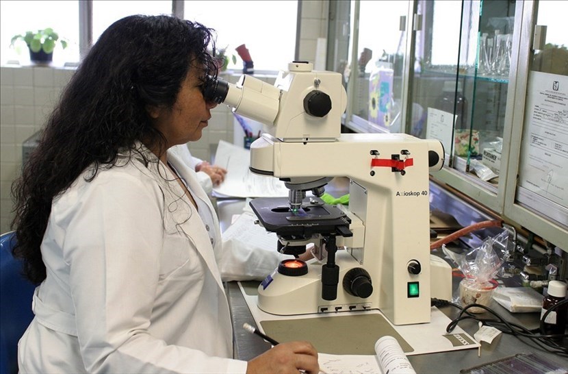 Analisi in laboratorio