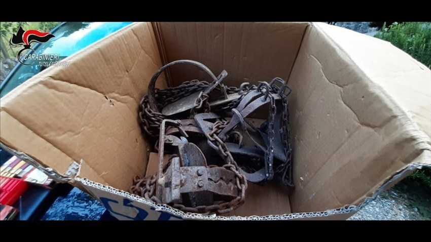 La merce sequestrata ai due bracconieri