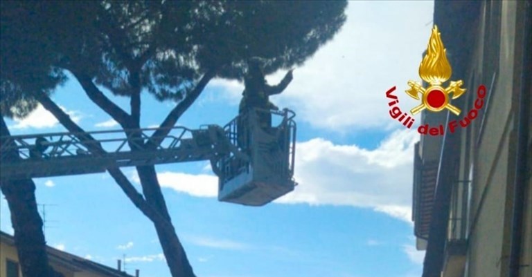 L'intervento in via Lunga