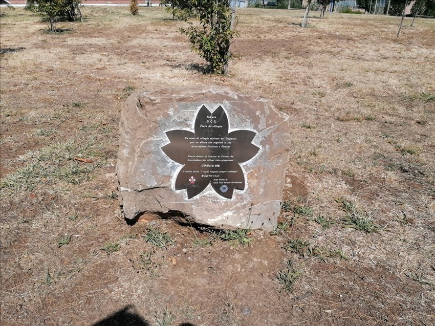 Il parco di San Donato, l'angolo dei ciliegi italo giapponesi con la targa che ricorda la donazione