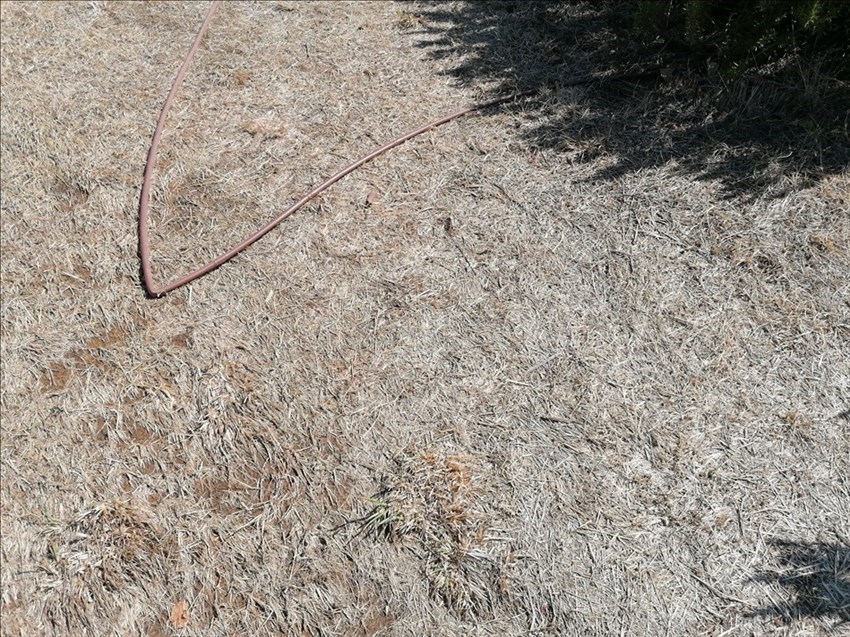 Il parco di San Donato, lo stato in cui versa l'impianto d'irrigazione