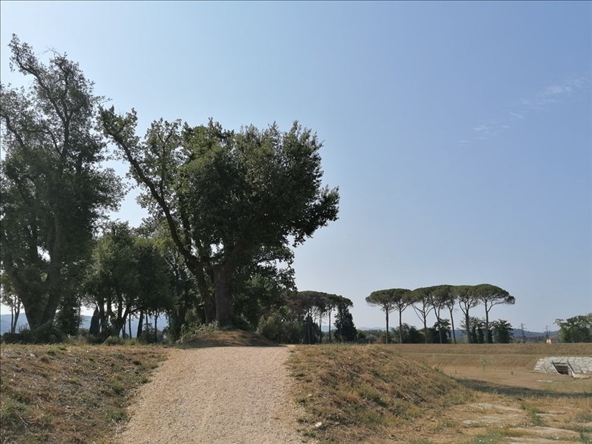 panoramica del parco