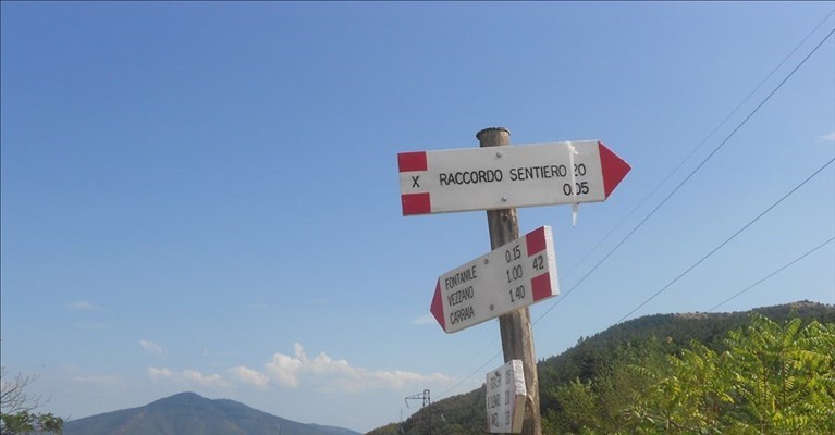 nuovi sentieri in Calvana