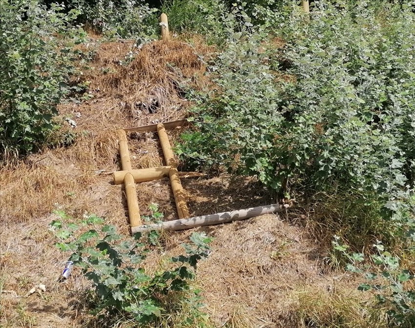 le staccionate divelte