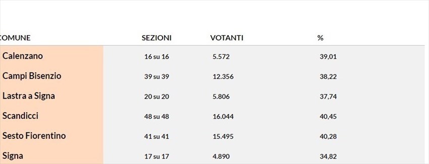 Circoscrizione Firenze 4