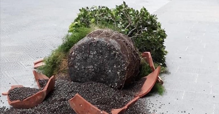 i vasi distrutti in via Tornabuoni