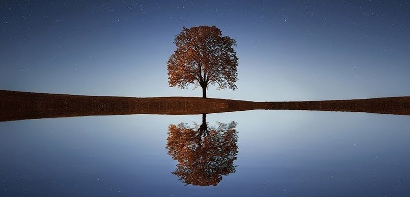 Piantando alberi a Calenzano