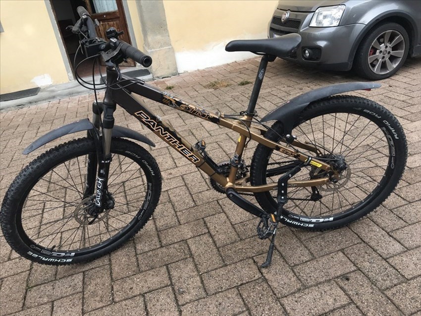 Le biciclette rubate