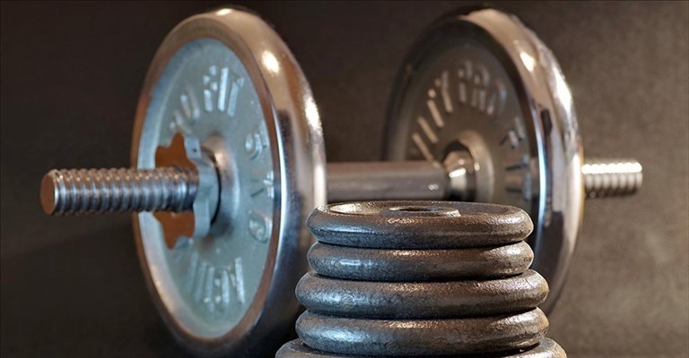 multate due palastre