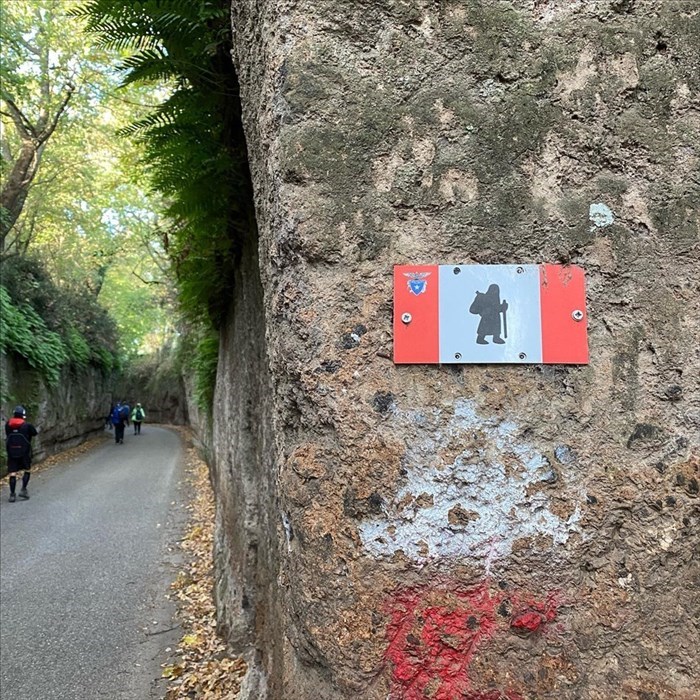 nei boschi della Montagnola senese