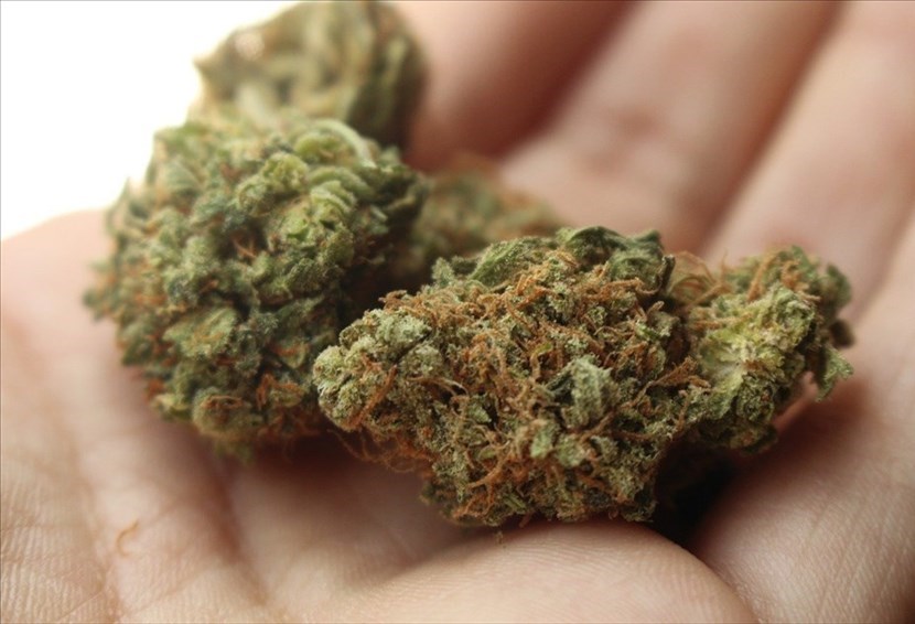 spaccio di marijuana