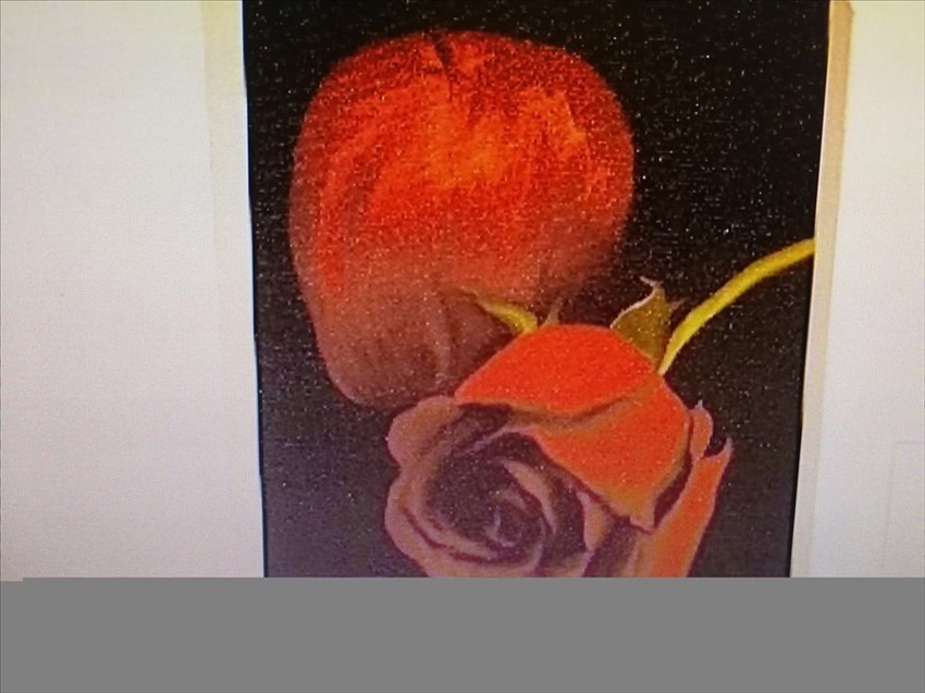 Una delle tante opere di Nikla Biagioli.