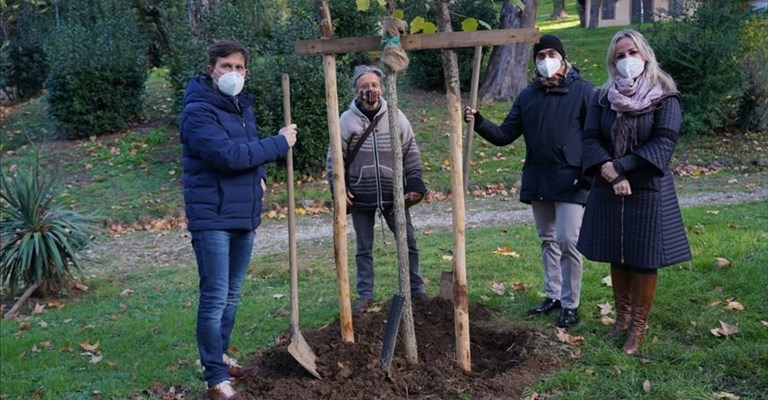 il 3001 albero piantato a Firenze
