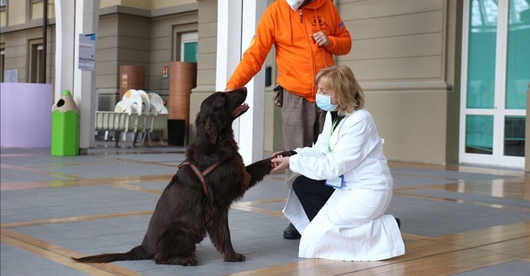 l'incontro fra Galileo e la dottoressa