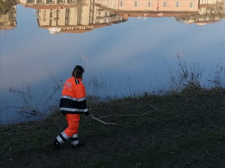 Ricerche disperso sul greto dell'arno