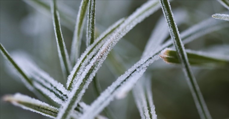 allerta meteo per ghiaccio