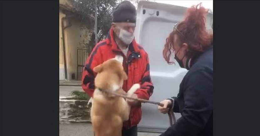 La gioia dell'incontro