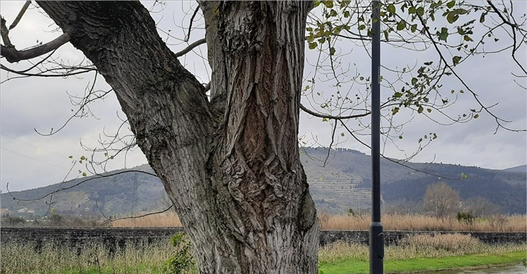 lavori lungo la Marina