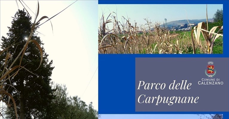 un futuro per il parco