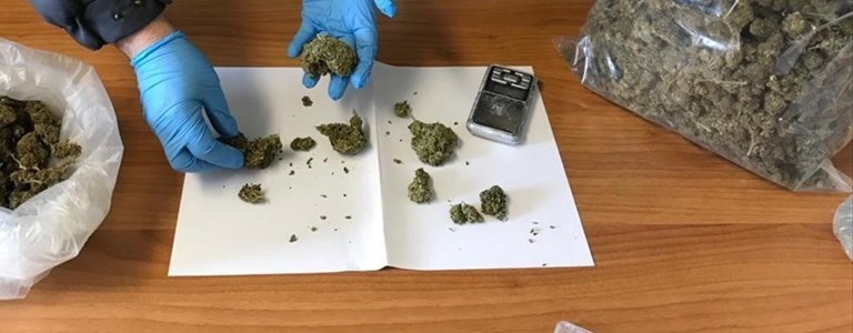 marijuana. Foto di repertorio