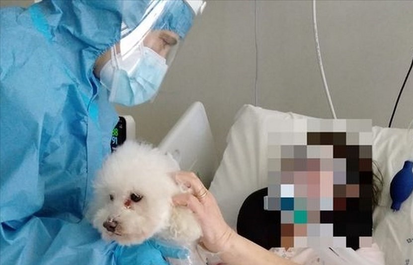 Il cagnetto dalla padrona