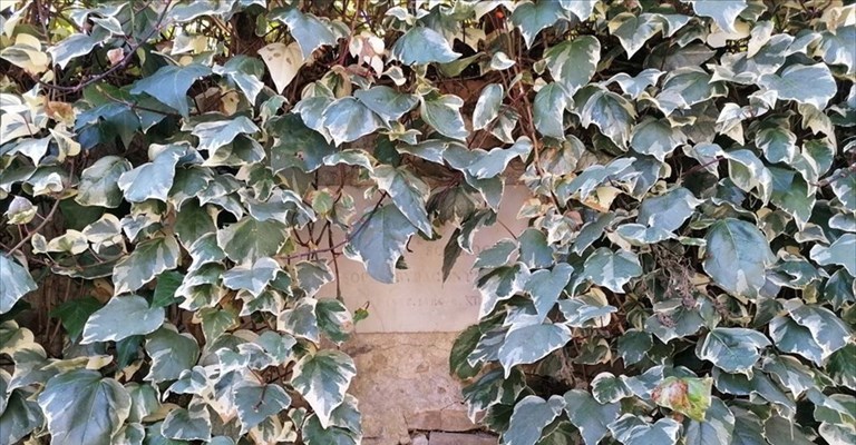 la targa invisibile...