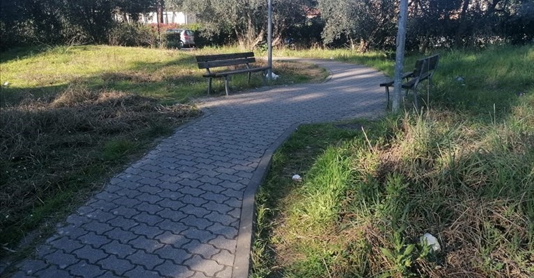 il giardini incriminati