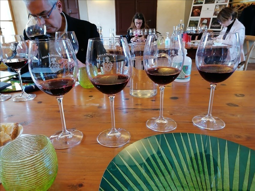 un momento della degustazione