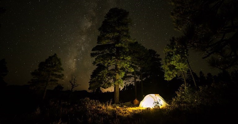 la tenda della droga